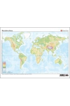 Mapas Planisferio/Fisico